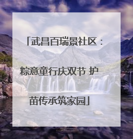 武昌百瑞景社区：粽意童行庆双节 护苗传承筑家园