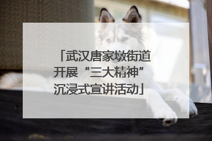 武汉唐家墩街道开展“三大精神”沉浸式宣讲活动