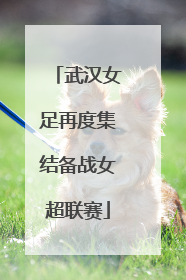 武汉女足再度集结备战女超联赛