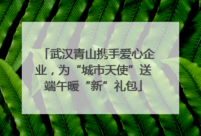 武汉青山携手爱心企业，为“城市天使”送端午暖“新”礼包