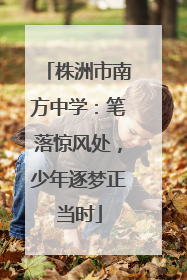 株洲市南方中学：笔落惊风处，少年逐梦正当时