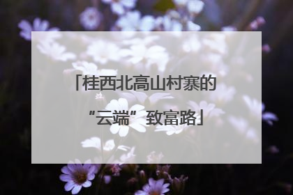 桂西北高山村寨的“云端”致富路