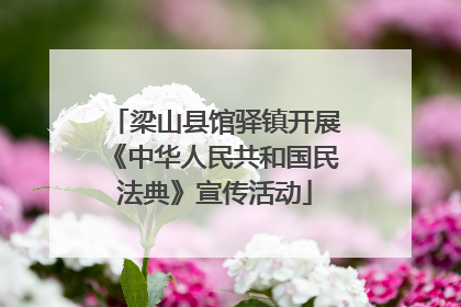 梁山县馆驿镇开展《中华人民共和国民法典》宣传活动