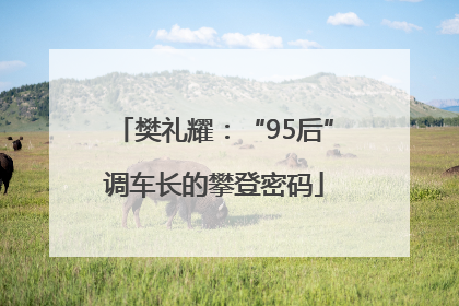 樊礼耀：“95后”调车长的攀登密码