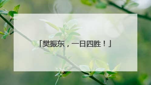 樊振东，一日四胜！