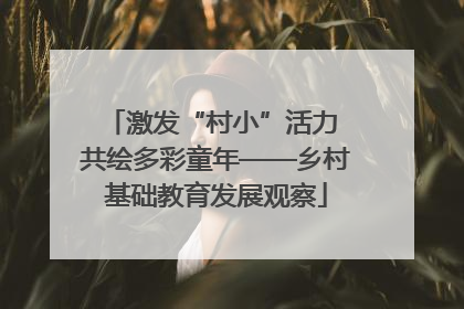 激发“村小”活力 共绘多彩童年——乡村基础教育发展观察