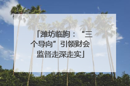 潍坊临朐：“三个导向”引领财会监督走深走实