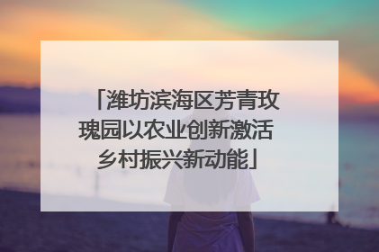 潍坊滨海区芳青玫瑰园以农业创新激活乡村振兴新动能