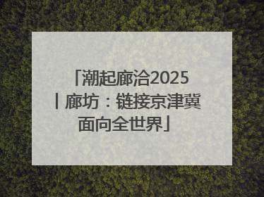潮起廊洽2025丨廊坊：链接京津冀 面向全世界