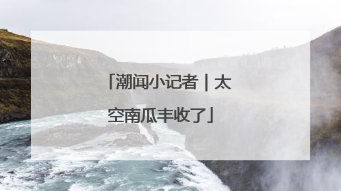 潮闻小记者｜太空南瓜丰收了