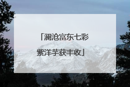 澜沧富东七彩紫洋芋获丰收