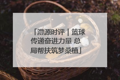 澧源时评｜篮球传递奋进力量 总局帮扶筑梦桑植