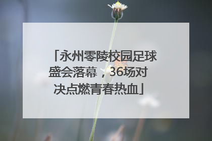 永州零陵校园足球盛会落幕，36场对决点燃青春热血