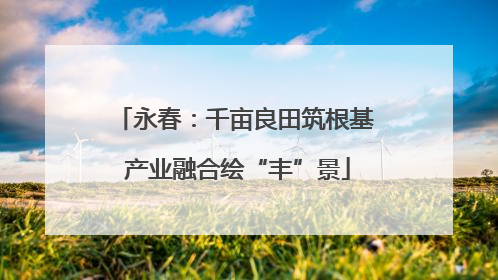 永春：千亩良田筑根基 产业融合绘“丰”景