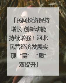 民间投资保持增长 创新动能持续增强！河北民营经济发展实现“量”“质”双提升