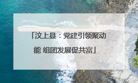 汶上县：党建引领聚动能 组团发展促共富