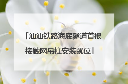 汕汕铁路海底隧道首根接触网吊柱安装就位