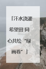 汗水浇灌希望田 同心共绘“绿画卷”