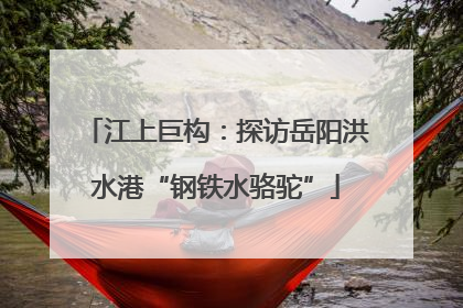 江上巨构：探访岳阳洪水港“钢铁水骆驼”