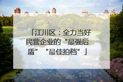江川区：全力当好民营企业的“最强后盾”“最佳拍档”