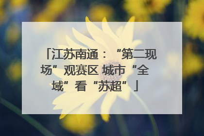 江苏南通：“第二现场”观赛区 城市“全域”看“苏超”