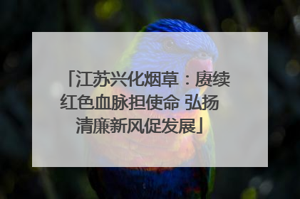 江苏兴化烟草：赓续红色血脉担使命 弘扬清廉新风促发展
