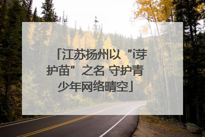 江苏扬州以“i芽护苗”之名 守护青少年网络晴空
