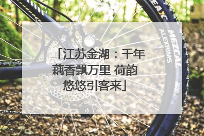 江苏金湖：千年藕香飘万里 荷韵悠悠引客来