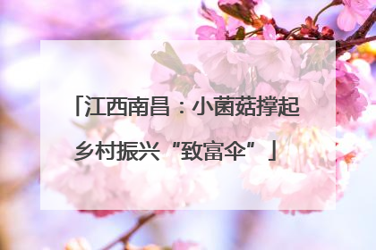 江西南昌：小菌菇撑起乡村振兴“致富伞”