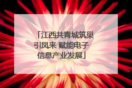 江西共青城筑巢引凤来 赋能电子信息产业发展