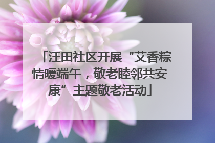 汪田社区开展“艾香粽情暖端午，敬老睦邻共安康”主题敬老活动