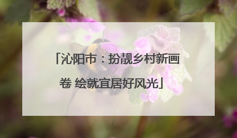 沁阳市：扮靓乡村新画卷 绘就宜居好风光