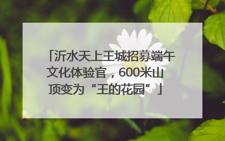 沂水天上王城招募端午文化体验官，600米山顶变为“王的花园”