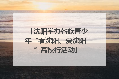 沈阳举办各族青少年“看沈阳、爱沈阳”高校行活动