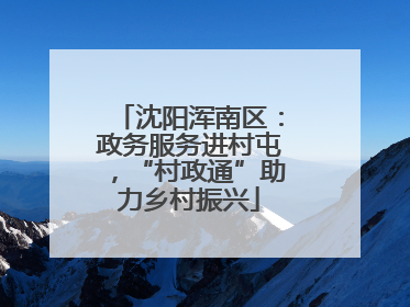 沈阳浑南区：政务服务进村屯，“村政通”助力乡村振兴