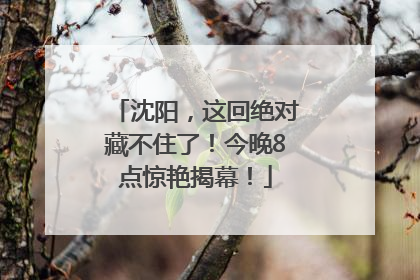 沈阳，这回绝对藏不住了！今晚8点惊艳揭幕！