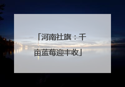 河南社旗：千亩蓝莓迎丰收