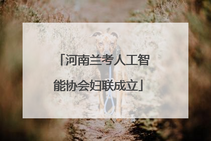 河南兰考人工智能协会妇联成立
