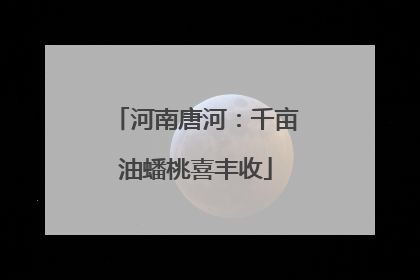 河南唐河：千亩油蟠桃喜丰收