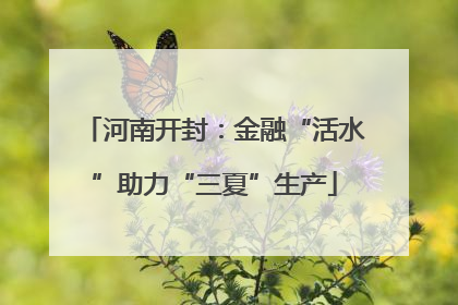 河南开封：金融“活水”助力“三夏”生产