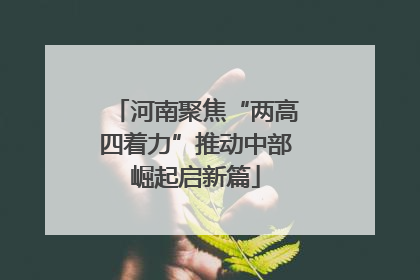 河南聚焦“两高四着力”推动中部崛起启新篇