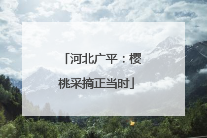 河北广平：樱桃采摘正当时