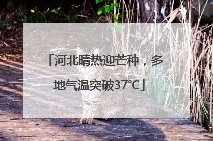河北晴热迎芒种，多地气温突破37℃