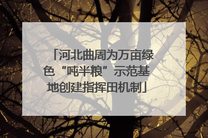 河北曲周为万亩绿色“吨半粮”示范基地创建指挥田机制