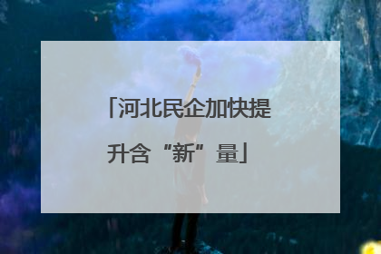 河北民企加快提升含“新”量