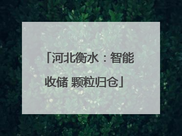 河北衡水：智能收储 颗粒归仓
