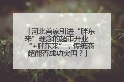 河北首家引进“胖东来”理念的超市开业 “+胖东来”，传统商超能否成功突围？