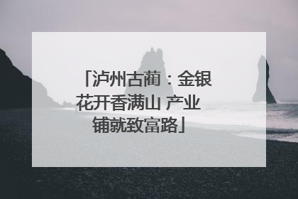 泸州古蔺：金银花开香满山 产业铺就致富路