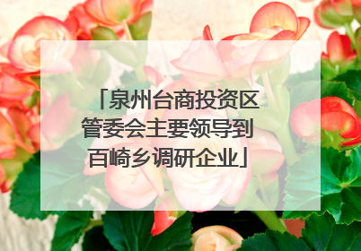 泉州台商投资区管委会主要领导到百崎乡调研企业
