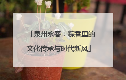泉州永春：粽香里的文化传承与时代新风